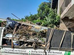 Best Basement Cleanout  in Boonville, MO